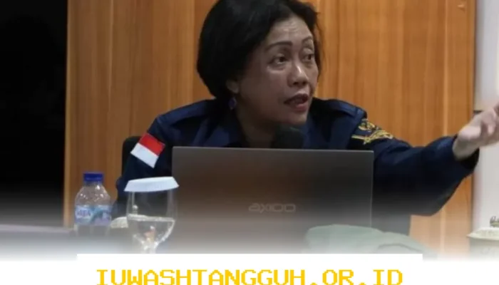 BKN Hentikan Layanan ASN Pemprov Sulbar, 95 Pejabat Nonjob Diduga Langgar Prinsip Merit
