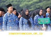 BKN Pastikan ASN Hanya Terdiri dari PNS dan PPPK, Informasi Lain adalah Hoaks