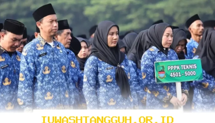 BKN Pastikan ASN Hanya Terdiri dari PNS dan PPPK, Informasi Lain adalah Hoaks