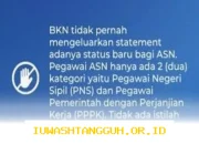 BKN Pastikan Status ASN Hanya untuk PNS dan PPPK, Hindari Multi Tafsir