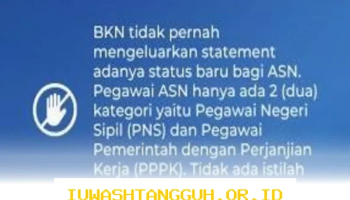 BKN Pastikan Status ASN Hanya untuk PNS dan PPPK, Hindari Multi Tafsir