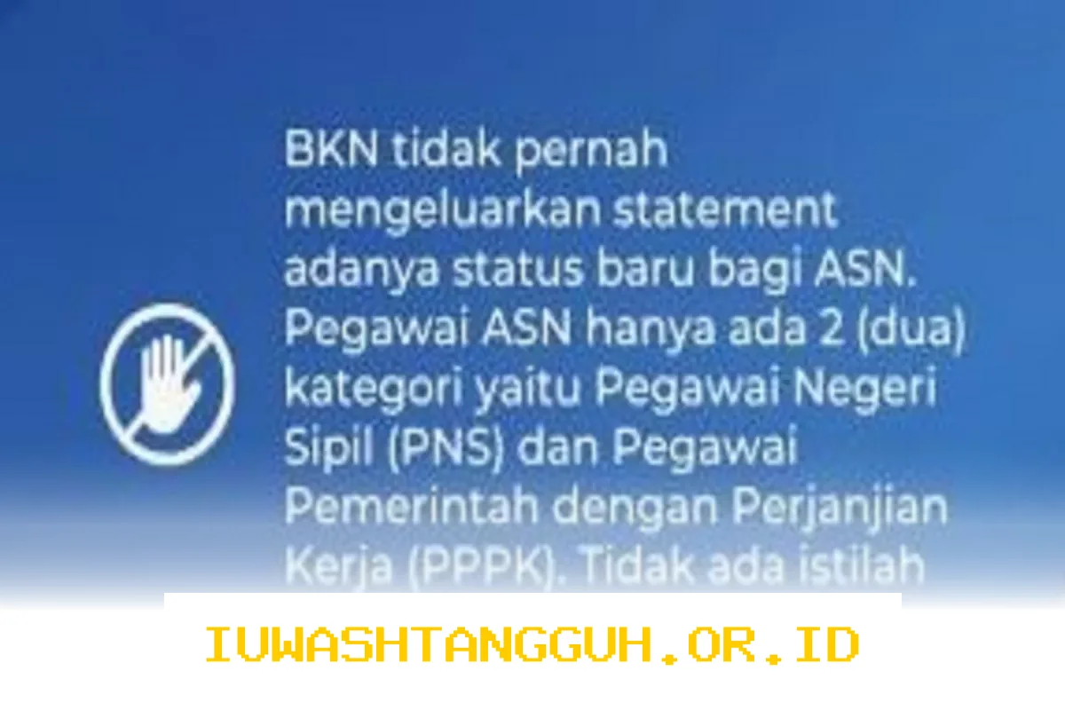 BKN Pastikan Status ASN Hanya untuk PNS dan PPPK, Hindari Multi Tafsir