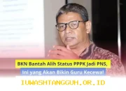 BKN Tegaskan PPPK Tetap Jadi PNS, Guru Merasa Kecewa dengan Keputusan Ini!
