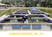BRI Terus Dorong Pemberdayaan Masyarakat Desa Empang Baru untuk Tingkatkan Perekonomian Lokal