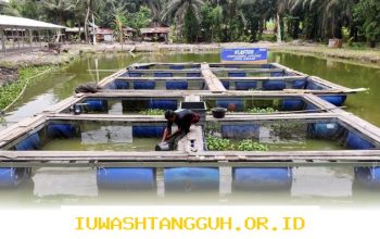 BRI Terus Dorong Pemberdayaan Masyarakat Desa Empang Baru untuk Tingkatkan Perekonomian Lokal