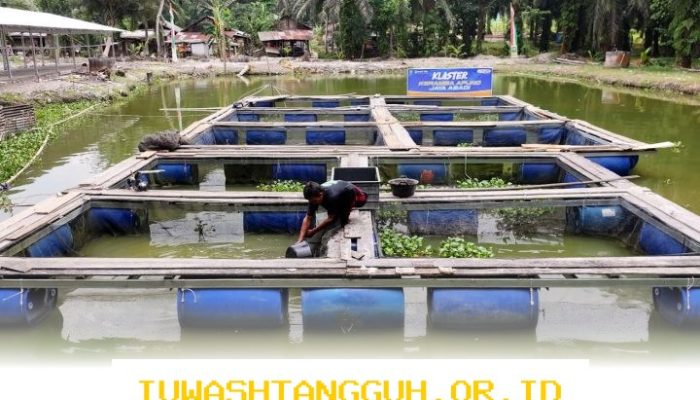 BRI Terus Dorong Pemberdayaan Masyarakat Desa Empang Baru untuk Tingkatkan Perekonomian Lokal