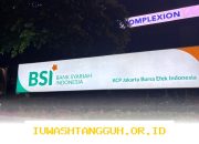 BSI Paparkan Rencana Penyaluran Dana SAL Senilai Rp100 Triliun untuk Tingkatkan Likuiditas Bank