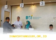 BSI Yakin Pembiayaan Konsumer Masih Akan Naik Meski Daya Beli Masyarakat Tertekan