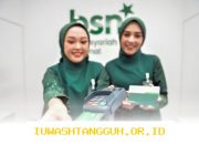 BSN Gandeng Penyandang Disabilitas untuk Tingkatkan Kesejahteraan Keluarga