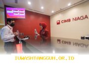 CIMB Niaga (BNGA) Bentuk Perusahaan Anak dengan Modal Segar Rp200 Miliar untuk Menangani Portofolio Kredit Macet