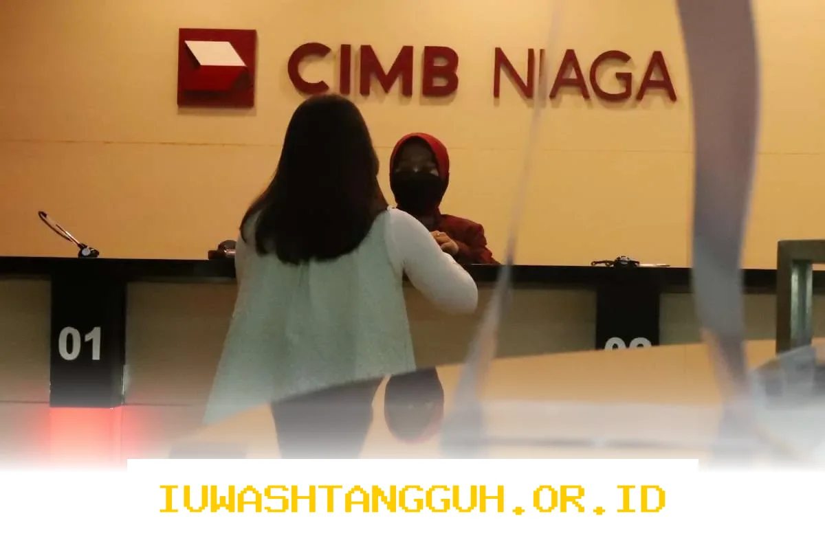CIMB Niaga (BNGA) Menyiapkan Anggaran Buyback Saham Senilai Rp 480 Miliar Tahun Ini