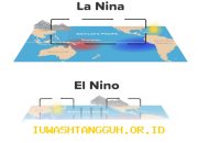 Dampak El Niño Ekstrem pada Industri Asuransi Umum Diungkapkan AAUI
