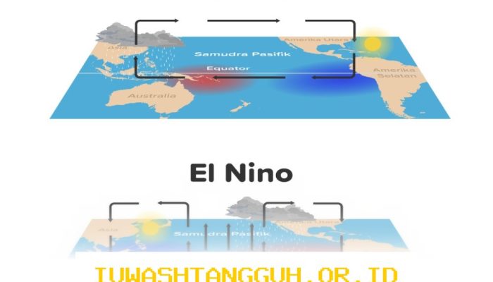 Dampak El Niño Ekstrem pada Industri Asuransi Umum Diungkapkan AAUI