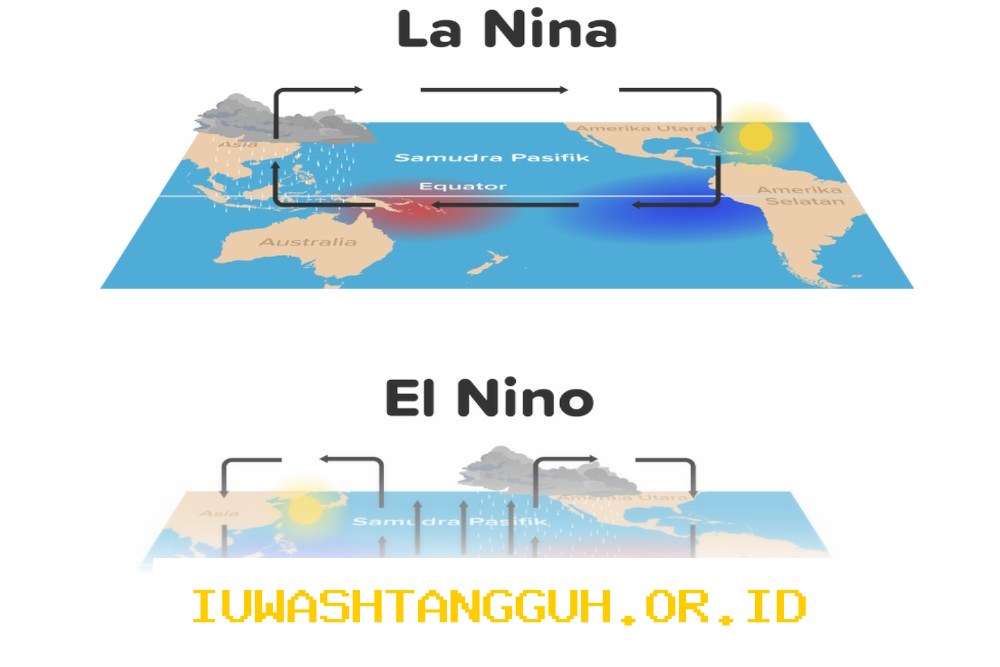 Dampak El Niño Ekstrem pada Industri Asuransi Umum Diungkapkan AAUI