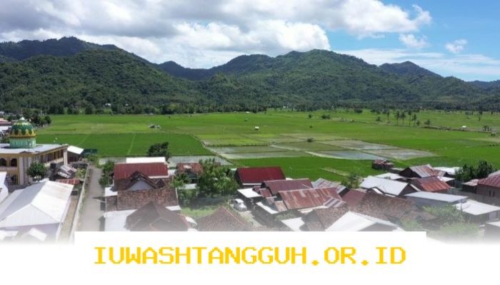 Desa Manemeng Bangun Ekosistem Ekonomi Kerakyatan Berbasis Gotong Royong melalui Program Desa BRILiaN