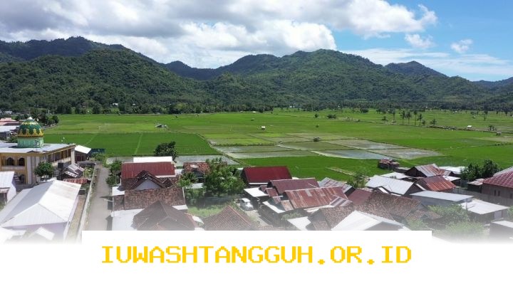 Desa Manemeng Bangun Ekosistem Ekonomi Kerakyatan Berbasis Gotong Royong melalui Program Desa BRILiaN