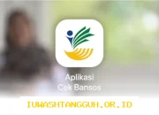 Desil Menyebabkan Bansos Tak Cair? Ini Dia Cara Mengajukan Perubahan Data dengan Mudah
