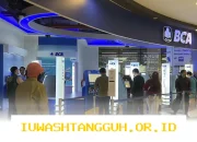 Direktur BCA Paparkan Respons Terhadap Penilaian Negatif dari Lembaga Pemeringkat Internasional