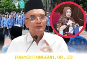 DPR Persetujui 630 Ribu Guru Masuk PPPK Tanpa Seleksi, Tanggapan Menohok dari MenPAN RB