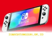 Empat Orang Pria Terlibat Masalah Hukum Akibat Perdagangan Nintendo Switch Modifikasi CFW