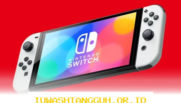 Empat Orang Pria Terlibat Masalah Hukum Akibat Perdagangan Nintendo Switch Modifikasi CFW