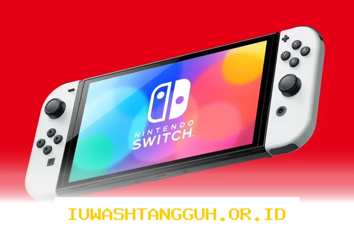 Empat Orang Pria Terlibat Masalah Hukum Akibat Perdagangan Nintendo Switch Modifikasi CFW