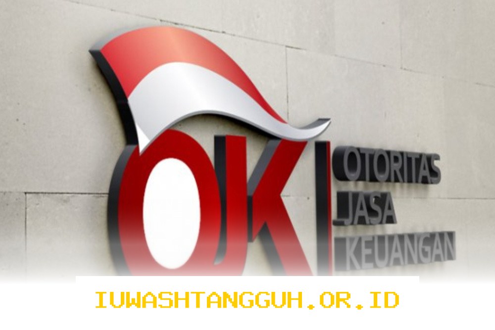 Friderica Widyasari Dewi Resmi Menjabat Ketua DK OJK Setelah Lulus Uji Fit and Proper Test