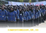 Gaji PNS Golongan IIIa Segera Masuk, Ini Rincian Tunjangan dan Besaran yang Diterima