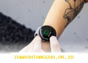 Google Pixel Watch 2026 Hadirkan Fitur Express Pay untuk Transaksi Lebih Cepat dan Mudah