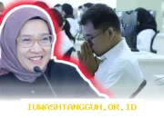 Guru Madrasah Swasta Terima Kompensasi Meski Tak Jadi ASN