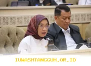 Guru Swasta Masih Bisa Jadi PPPK, Ini Kata Menteri PAN RB