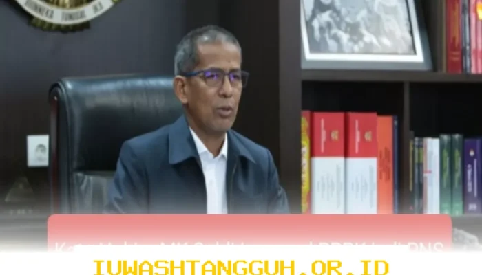 Hakim MK Saldi Isra Jelaskan Alasan PPPK Bisa Jadi PNS, Begini Penjelasannya