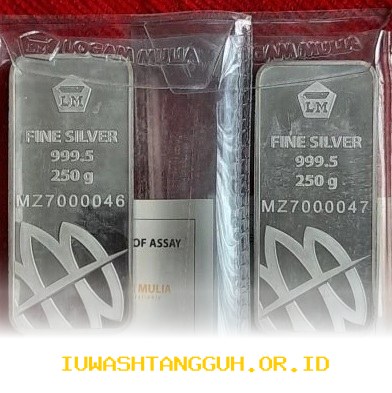 Harga Perak Antam Turun Signifikan, Kini Dijual Seharga Rp46.650 per Gram