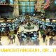 Indeks Saham Wall Street Campur Aduk, Hanya Nasdaq yang Mengantongi Keuntungan