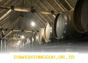 Industri Kreatif Bali Dorong Ekspansi Produk ke Pasar Internasional Melalui Platform Digital