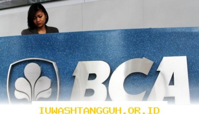 Jadwal Resmi Layanan Operasional Seluruh Cabang BCA Yang Perlu Anda Ketahui
