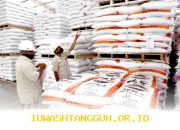 JAPFA Sesuaikan Harga Pakan untuk Jaga Stabilitas Industri Perunggasan Menjelang Lebaran