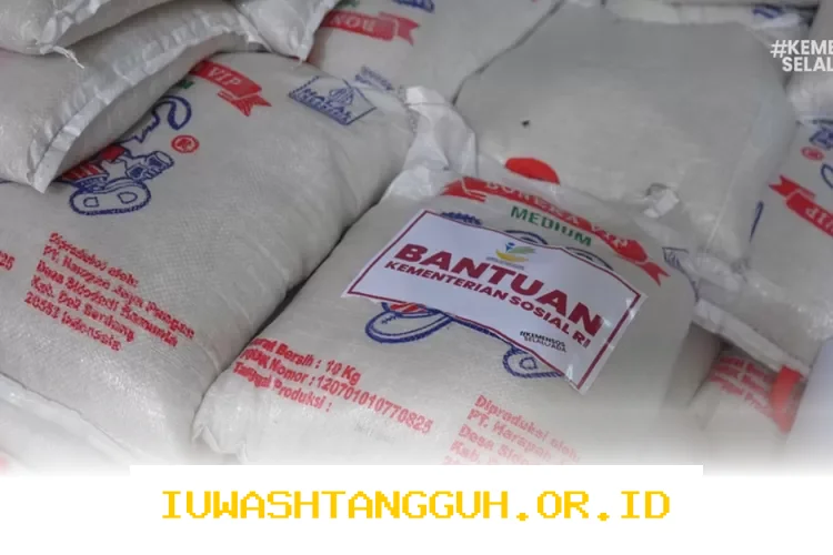 Kabar gembira bagi KPM! Bantuan sosial tahap 8 segera cair pada 30 Maret 2026, meliputi PKH, BPNT, PIP, dan BLT Dana Desa.