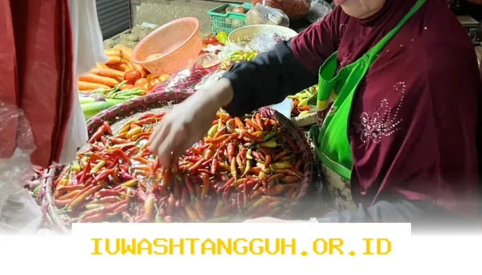 Kenaikan Harga Bahan Pokok 16 Maret 2026 Meliputi Cabai Hingga Minyak Goreng