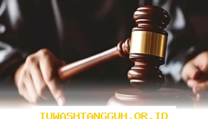 Kepala Daerah Berwenang Mutakhirkan Status dan Kontrak PPPK Menurut BKN
