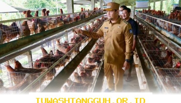 Ketersediaan Bahan Pangan di Badung Dipastikan Aman Menjelang Perayaan Nyepi dan Idulfitri