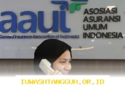 Kinerja Asuransi Umum Didukung oleh Keseimbangan Antara Underwriting dan Investasi yang Stabil