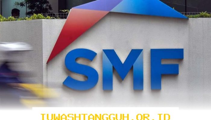 Kinerja SMF 2025 Menjanjikan dengan Total Aset Rp66,814 Triliun dan Rasio NPL Stabil di 0,003%