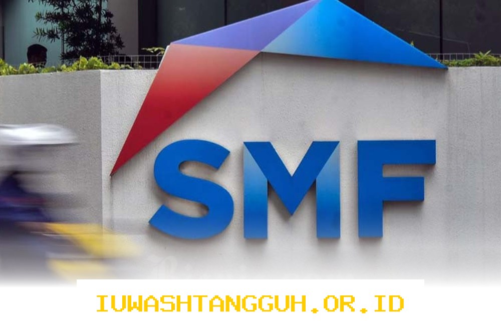 Kinerja SMF 2025 Menjanjikan dengan Total Aset Rp66,814 Triliun dan Rasio NPL Stabil di 0,003%