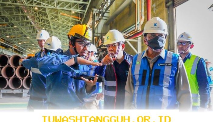 Kolaborasi Antarlembaga Pemerintah Dorong Pertumbuhan Industri Baja Nasional