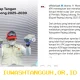 KPK Sebut Lima Orang Jadi Tersangka Kasus Suap Proyek di Rejang Lebong, Bupati Aktif Termasuk di Dalamnya, Ini Cara Penangkapan dan Pengungkapan Modusnya pada Operasi Tangkap Tangan 2026