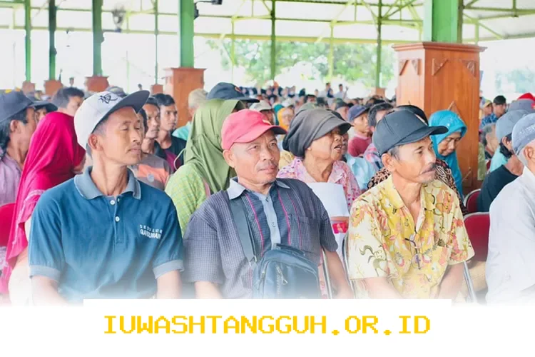 KPM di Tujuh Wilayah Ini Sudah Terima Undangan Bansos Pangan, Periksa Apakah Daerah Anda Termasuk