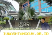 Laba BRI Meningkat Signifikan Hingga 17 Persen pada Februari 2026