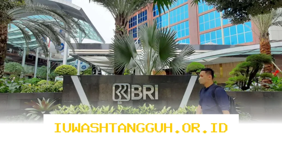 Laba BRI Meningkat Signifikan Hingga 17 Persen pada Februari 2026