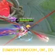 Langkah Praktis Raih 400 Stack Light Blade Energy untuk Skin Legend Fanny di Mobile Legends